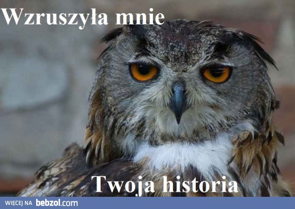 Wzruszyła mnie Twoja historia