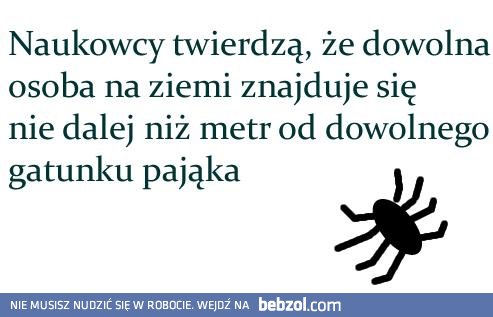 Naukowcy nie kłamią