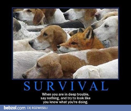 Survival