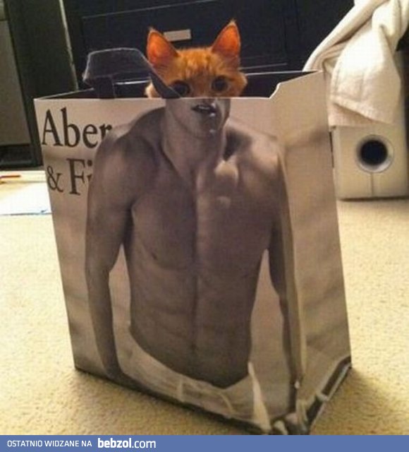 Catman