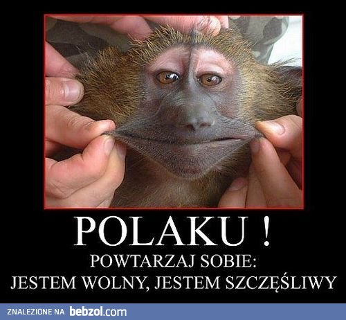 Polaku!