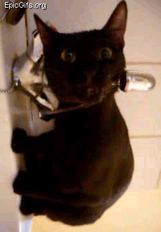 Kot przy wodopoju ;-)