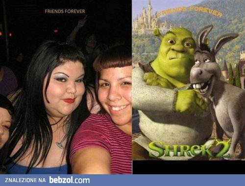 Shrek i osioł