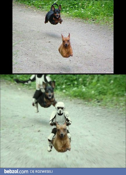 Star Wars Troopers