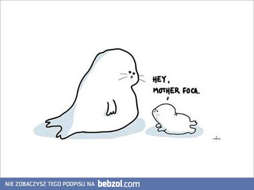 Mother foca