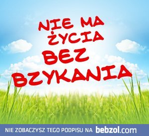 Nie ma życia