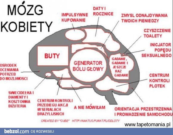 Skomplikowany? W końcu to mózg kobiety :D