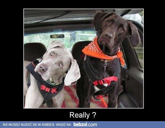 Naprawdę dziś jest piątek?