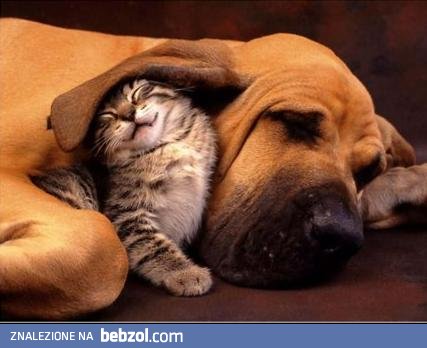 A jednak prawdziwa przyjaźń istnieje