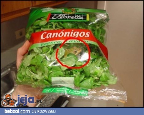 Sałata z niespodzianką 