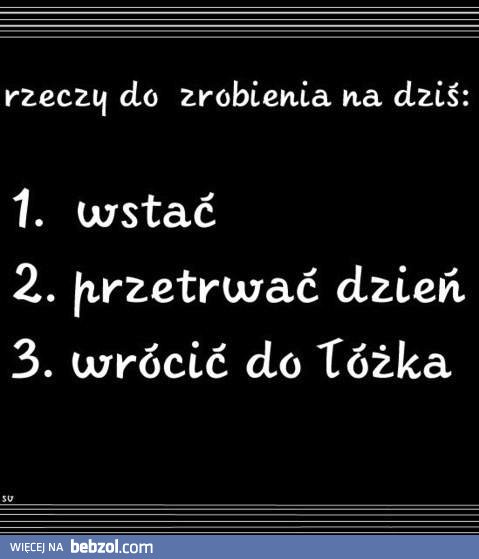 Wakacyjny plan dnia :-)