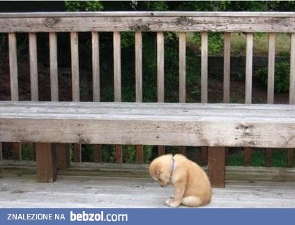 Wakacje za pasem a ja muszę iść do pracy...