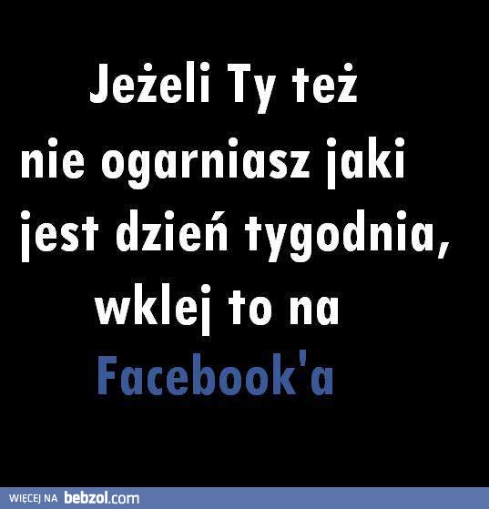 Jaki dziś mamy dzień?