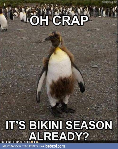 To już sezon na bikini?