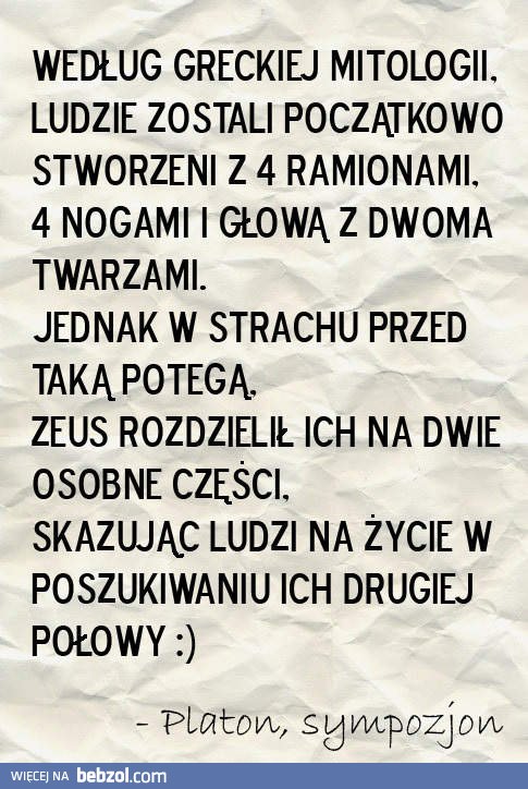 Szukamy drugiej połówki