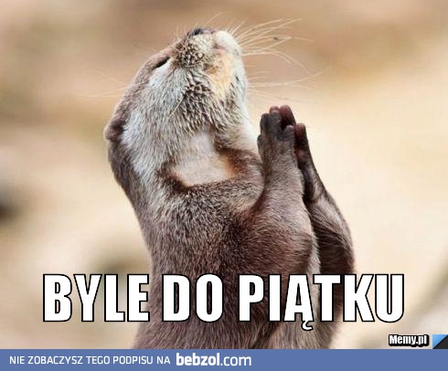 Wszystko jedno byle do piątku wytrzymać! 
