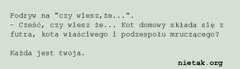 czy wiesz że..