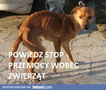 Mówimy stanowcze STOP! 