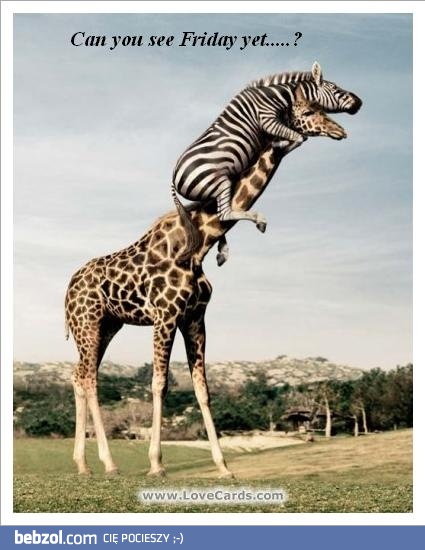 Czy widzisz już piątek??