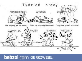 tydzień pracy