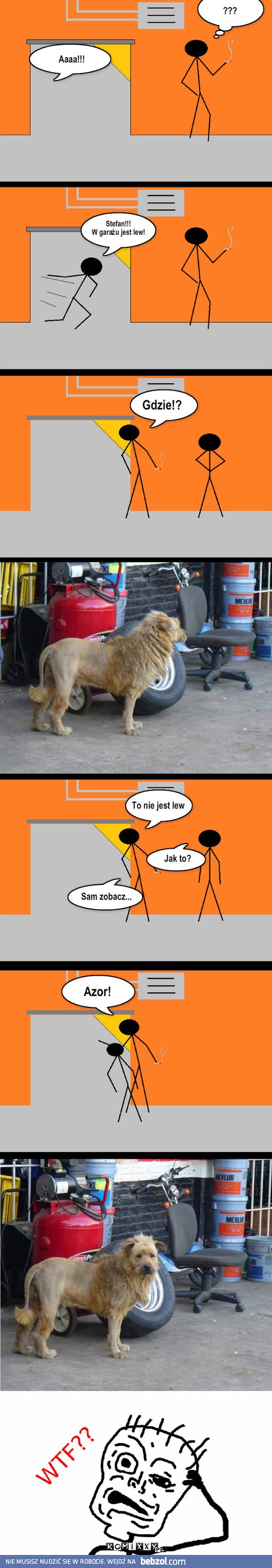 Lew w garażu