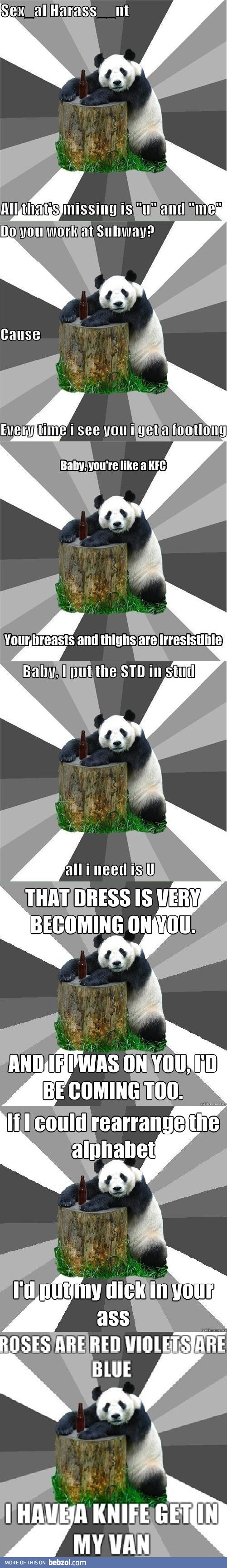 Bad Pickup Line Panda