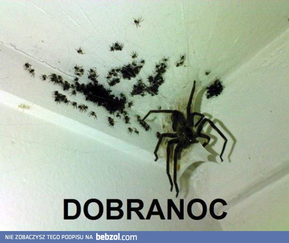 Dobranoc! :-)