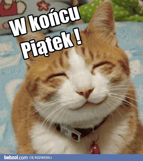 Piątek ! Kotek dumny .