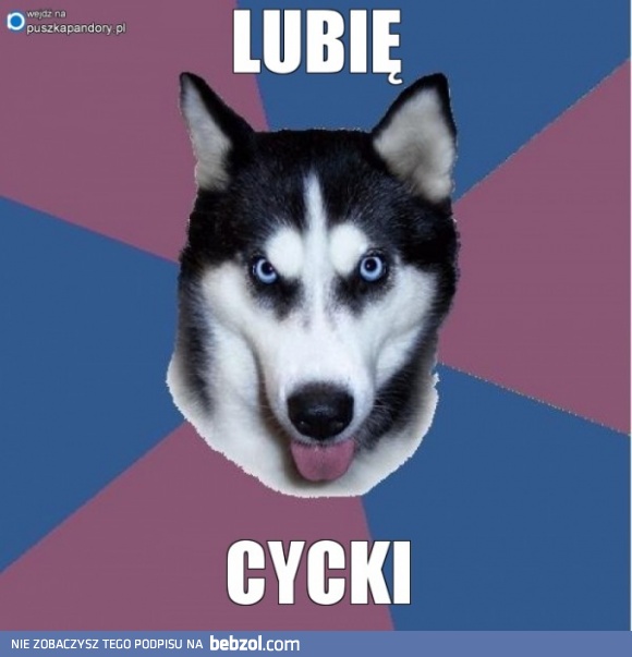 lubię cycki