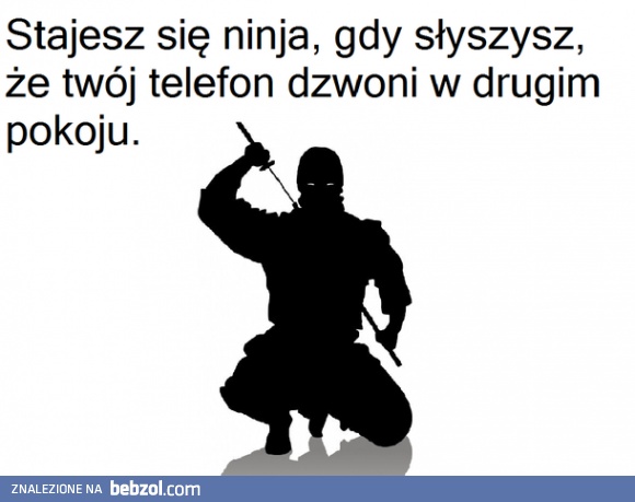 Ty też stajesz się Ninja?