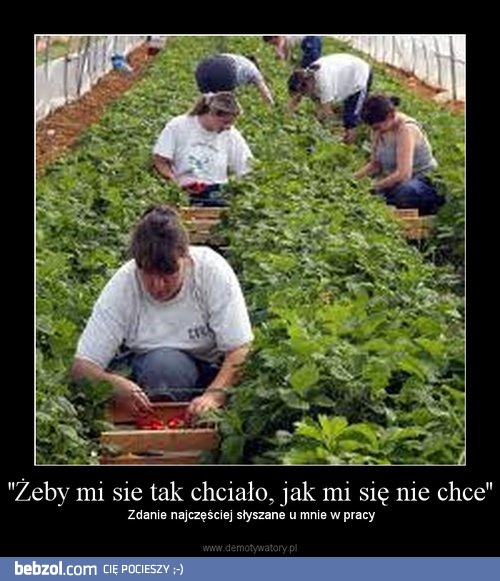 żeby mi się chciało...