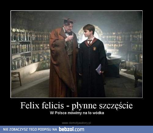 Felix felicis - płynne szczęście