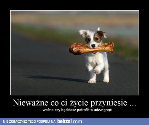 Nieważne co ci życie przyniesie..