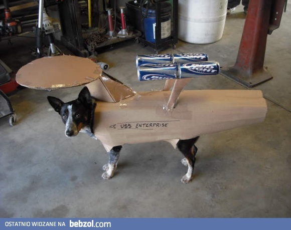 Trekdog