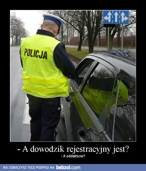 Dowodzik rejestracyjny jest?