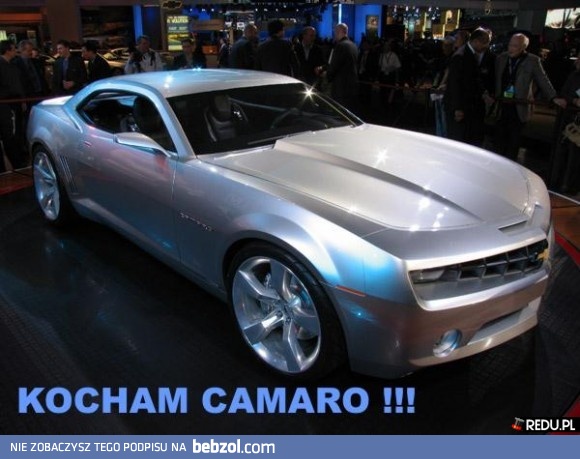 Kocham Camaro
