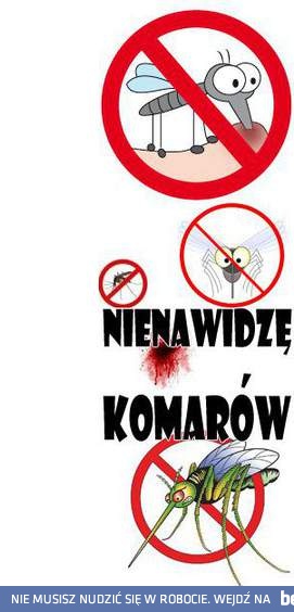 Nienawidzę komarów! 