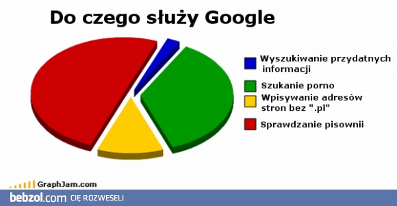 Do czego sluzy google ?