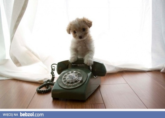 Czekam aż do mnie zadzwonisz 