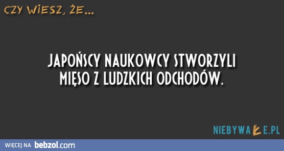 Japończykom życzymy smacznego!