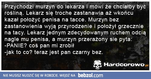 Kawał o murzynie