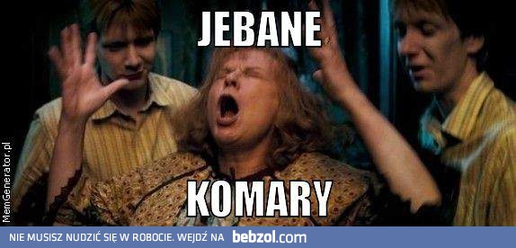 Jebane komary!