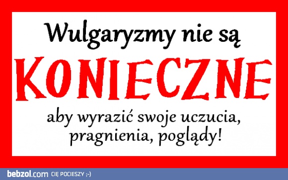 Wulgaryzmy