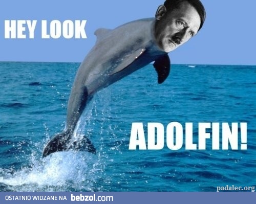 adolfin