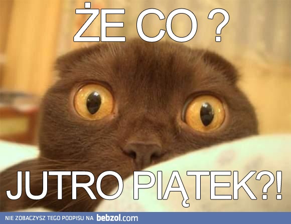 ŻE CO ?!