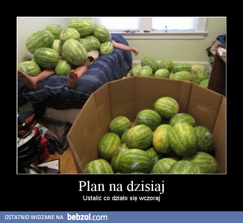 Plan na dzisiaj