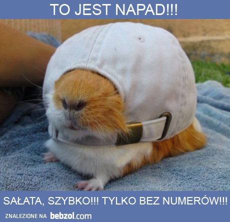 To jest napad!!! :D