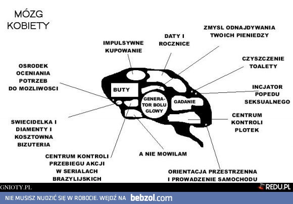 Mózgkobiety