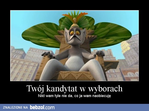 Twój kandytat w wyborach