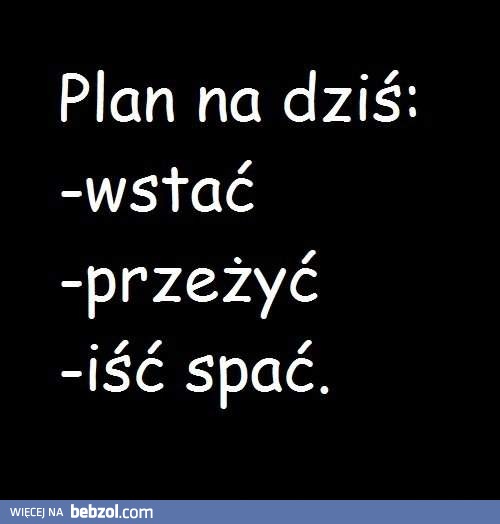 Plan na dziś